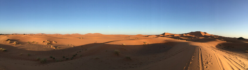 Sahara Panorama