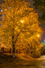 Осенняя улица в свете фонарей