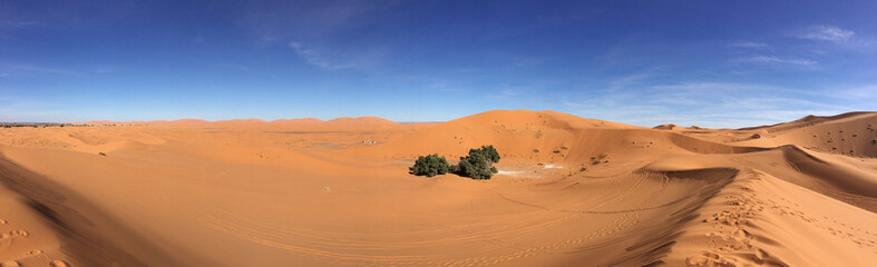Sahara Panorama