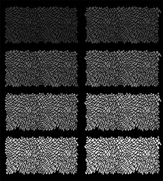 Animal print background