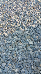 Beach Stones