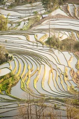 Foto op Canvas rice terraces of yuanyang in yunnan, china © xiaoliangge