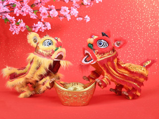 chinese traditional dancing lion for new year