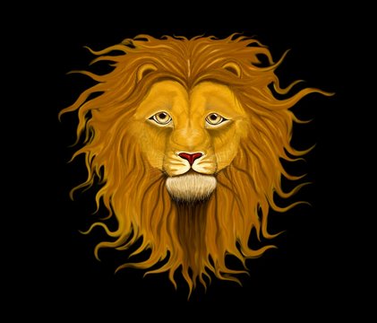 Majestic lion with long mane of curls on, on a black background
