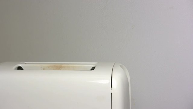Two slices of Toast are put into the toaster for a short while.  These pieces come out nice and crispy brown.
