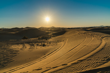 sunshine and sand in desert
