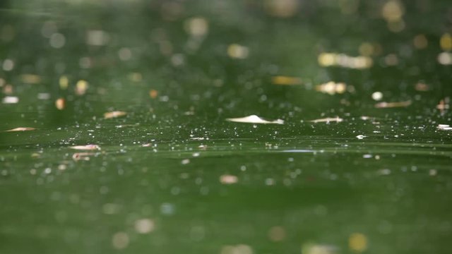 water surface