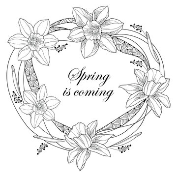 Vector round frame with outline narcissus or daffodil flowers and ornate leaves isolated on white background. Floral elements for spring design and coloring book. Spring is coming in contour style.