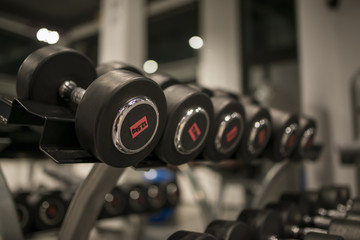 Naklejka premium Group of black dumbbells in fitness gym