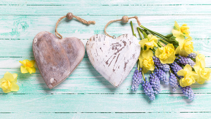 Two decorative hearts and fresh yellow and blue spring flowers