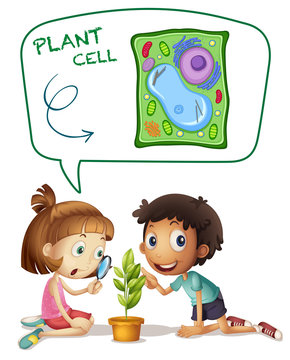 Children looking at plant cell on leaf