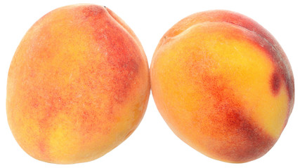 Two peach close up isolated