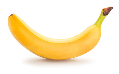 banana © bergamont