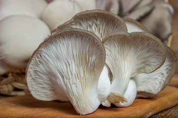 Fresh oyster mushroom on the board, horizontal front view. Healthy oyster mushroom. Basket with mushrooms.