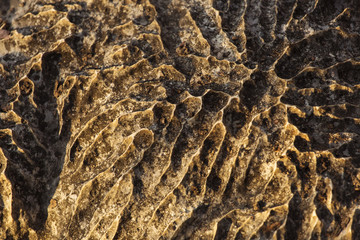 Tsingy de Bemaraha National Park. Unesco World Heritage in Madag