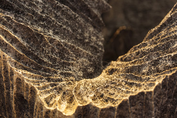 Tsingy de Bemaraha National Park. Unesco World Heritage in Madag