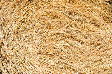 Storage with piles of stacks of hay