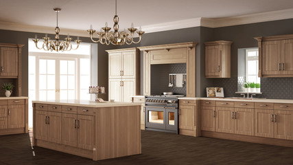 Classic kitchen, elegant interior design with wooden details