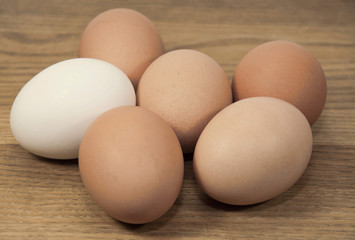 One white and five brown eggs on a brown wood board