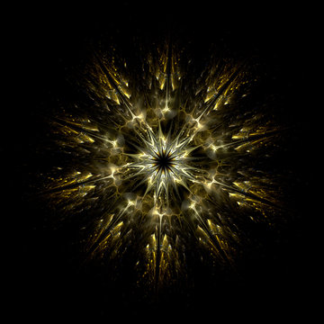 Haeckel inspitation - Radial Symmetry of Protozoan    - Fractal Art
