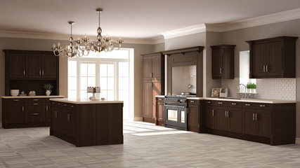 Fototapeta na wymiar Classic kitchen, elegant interior design with wooden details