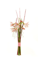 bouquet flowers wild lily tied ribbon on a white background. Valentine's Day