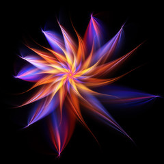 Fractal  Tropical Flower  -  Fractal Art  