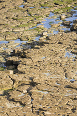 Plage rocheuse à marée basse