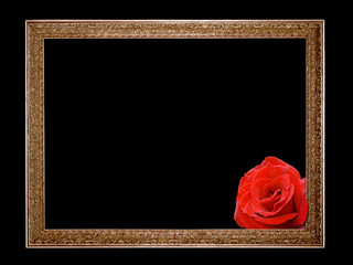 Bilderrahmen mit roter Rose, dunkler Hintergrund mit Freifläche für eigenen Text 