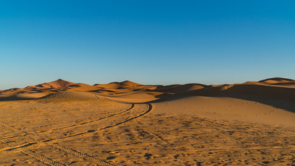 sahara desert
