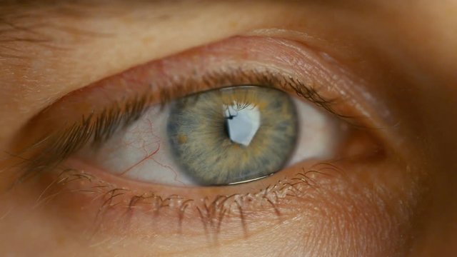 Close-up of a Blinking Man's Eyes. It's Grey with Brown Dots. Dilating Iris. Shot in Warm colours. Shot on RED EPIC-W 8K Helium Cinema Camera.