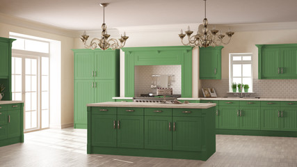 Classic kitchen, scandinavian minimal interior design with woode