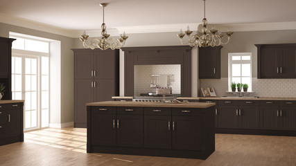 Classic kitchen, scandinavian minimal interior design with woode