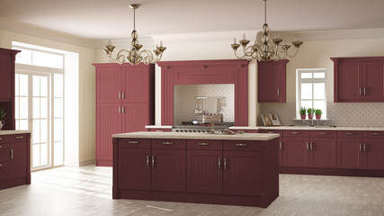 Classic kitchen, scandinavian minimal interior design with woode