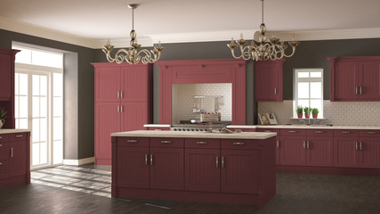 Classic kitchen, scandinavian minimal interior design with woode