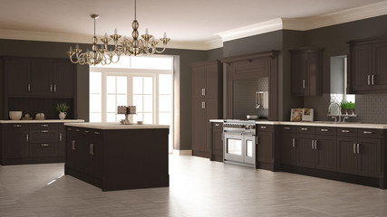 Classic kitchen, scandinavian minimal interior design with woode