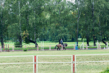 Riding school for dressage horses. Outdoor playground