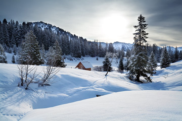 Fototapeta na wymiar snowy hills in winter Alps