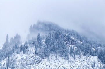 Fototapeta na wymiar mountain top in winter covered with fog