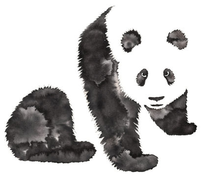 black and white monochrome painting with water and ink draw panda illustration