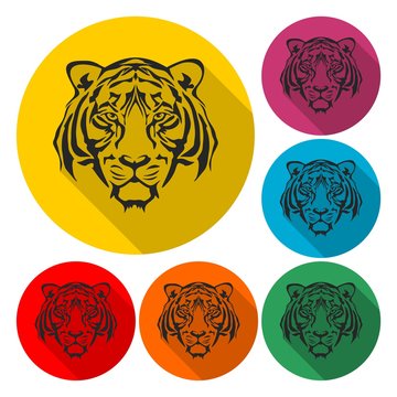 Tiger animal face icon - Illustration