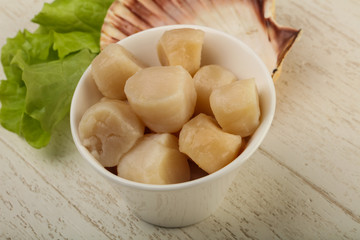 Raw scallops heap