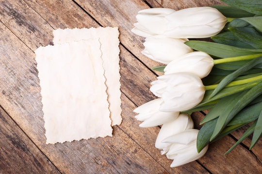 Vintage paper card with white tulips on wooden background. Invitation card with flowers on wood