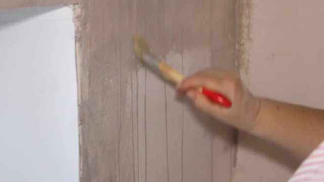 Woman Builder Handle wall brush