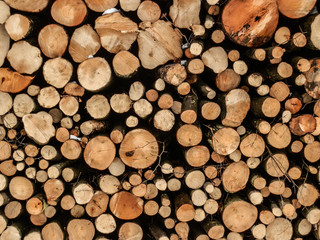Fire wood logs set for long winter texture