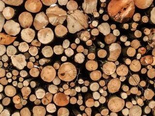 Möbelaufkleber Fire wood logs set for long winter texture © Michal
