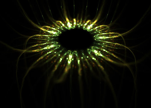 Haeckel inspitation - Radial Symmetry of Protozoan    - Fractal Art