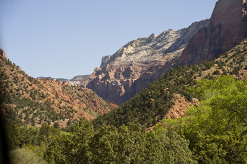 Zion mountains and cliffs with trees growing out of rocks