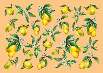 The background of the branches of fresh citrus fruit lemons with green leaves and flowers. Hand drawn watercolor painting on yellow background.