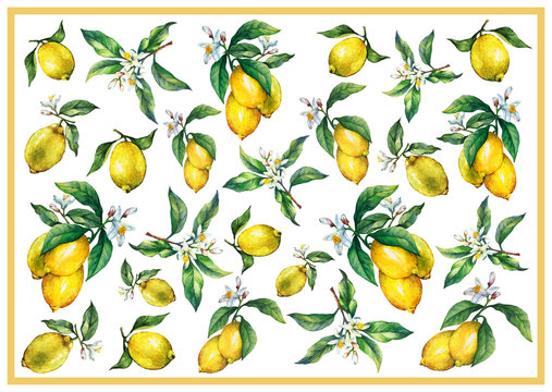 The background of the branches of fresh citrus fruit lemons with green leaves and flowers. Hand drawn watercolor painting on white background.